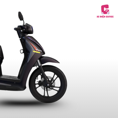 Xe Dat Bike Quantum