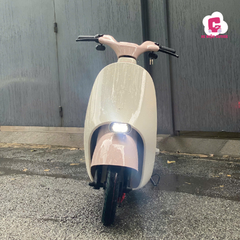 Xe Đạp Điện Dreaform Type 2
