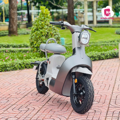 Xe Đạp Điện Dreaform Type 3