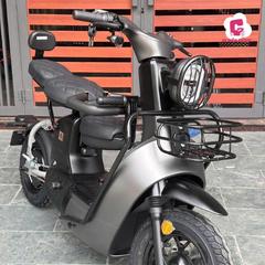 Xe Đạp Điện Dreaform Type 3
