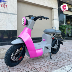 Xe Đạp Điện Dreaform Type 3