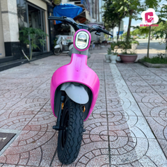 Xe Đạp Điện Dreaform Type 3