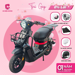 Xe Đạp Điện Dreaform Type 3 Pro 2026 - XE ĐIỆN CUTIEE