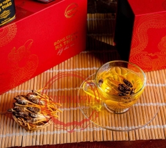 Đông trùng Hạ thảo Ký chủ – Hộp 10 gram