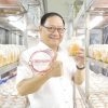 Đông trùng Hạ thảo tươi -  KHUYẾN MẠI mua 3 tặng 1, từ 14/06/2023 tới hết ngày 30/06/2023.