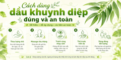 Cách dùng dầu khuynh diệp đúng và an toàn