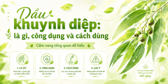 Dầu khuynh diệp: là gì, công dụng và cách dùng