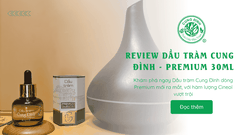 Review Dầu Tràm Cung Đình - Premium: Tinh Túy Từ Xứ Huế Đã Ra Mắt