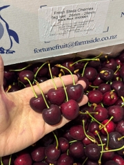 Cherry New Zealand Penguin size 26–28 (thùng 5kg) – Trái to đều, ngọt đậm, giòn mọng cao cấp