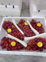 Nho ruby đỏ roman