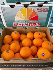 Quýt Úc 2PH Citrus S48
