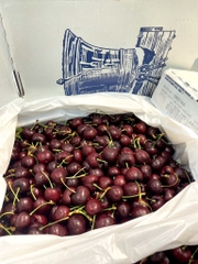 CHERRY CHUÔNG Mỹ S8.5
