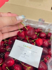 Cherry Chile SanFrancisco Size XLD – Trái To, Giòn Ngọt, Chuẩn Hàng Nhập Khẩu Cao Cấp