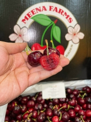 CHERRY MEENA