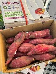 KHOAI LANG NHẬT - Thùng 3kg