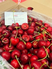 Cherry Chile SanFrancisco Size XLD – Trái To, Giòn Ngọt, Chuẩn Hàng Nhập Khẩu Cao Cấp