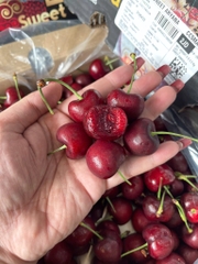Cherry Chile 2JD – Siêu Giòn, Ngọt Đậm, Tươi Ngon Chuẩn Đầu Mùa