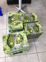 Nho Mẫu Đơn Hàn Quốc (Shine Muscat) – Cao Cấp, Không Hạt, Thơm Đậm Vị
