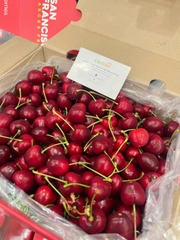 Cherry Chile SanFrancisco Size XLD – Trái To, Giòn Ngọt, Chuẩn Hàng Nhập Khẩu Cao Cấp