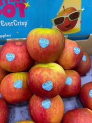 Táo evercrisp New Zealand S35