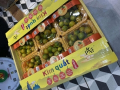 Kim Quất 6 Hộp – Tươi Mọng, Vị Chua Thanh, Tiện Lợi Cho Mọi Gia Đình