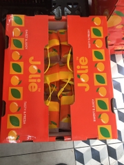 Quýt Túi Jolie 1kg – Quýt Ngọt Mọng Nước, Tươi Chuẩn Nhập Khẩu | Like Fruit