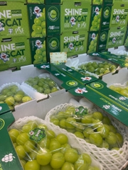NHO MẪU ĐƠN SHINE MUSAT NO1