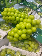 NHO MẪU ĐƠN SHINE MUSAT NO1