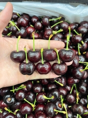 CHERRY MỸ RIVERMAID S10
