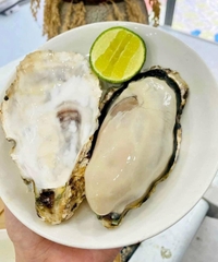 HÀU