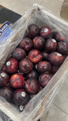 Mận Úc Ebony Rose Plum – Ruột Đỏ Ngọt Đậm, Vỏ Tím Sang Trọng | Trái Cây Nhập Khẩu Cao Cấp