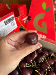 CHERRY CHILLE 4JD (xách 2.5kg)