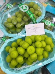 Nho Mẫu Đơn Shine Muscat 6 Hộp – Ngọt Thanh, Giòn Sang, Quà Tặng Chuẩn Cao Cấp