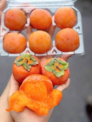 Hồng Thạch Trân Châu