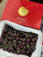 Cherry Úc Hill Size 28 – Hộp 2kg | Cherry Cao Cấp, Trái To Giòn Ngọt, Tươi Ngon Nhập Khẩu