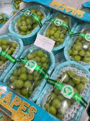 Nho Mẫu Đơn Shine Muscat 6 Hộp – Ngọt Thanh, Giòn Sang, Quà Tặng Chuẩn Cao Cấp