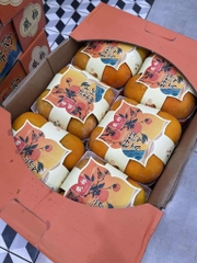 Hồng socola Haoshi