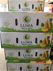 Dưa Lưới Luma Cao Cấp – Thơm Ngọt Tự Nhiên, Trái Đẹp Chuẩn Quà Biếu | Like Fruit