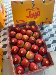 Táo JOYA size 100