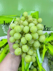 Nho xanh Úc Hello – Giòn ngọt thanh mát, ăn là mê