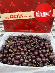Cherry  Bite riot S28