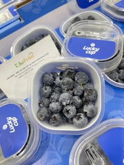 Việt Quất Luckycup 12 Cốc – Trái Cây Cao Cấp Tươi Ngon Chuẩn Nhập Khẩu Tại Like Fruit