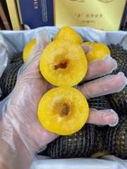 Mận cau bọc lưới
