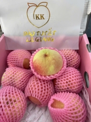 ĐÀO TUYẾT LỆ GIANG