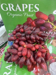 NHO ĐỎ NỮ HOÀNG NINA