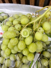 Nho Xanh Chile J – Trái  Giòn Ngọt,  Ăn Cực Cuốn