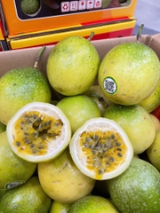 Chanh Dây Ngọt Vỏ Ổi – Thơm Dịu, Ít Chua, Ăn Tươi Cực Đã | Like Fruit