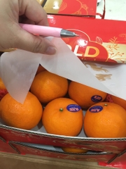 Quýt Quà Tặng 2 Tầng (Thùng 3kg) – Trái Đều Đẹp, Ngọt Thanh, Sang Trọng Biếu Tặng