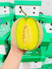 Dưa sữa ruột xanh giống Nhật