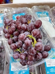 Nho kẹo Nam Phi hộp 500gr – Ngọt thơm tự nhiên, không cần lột vỏ